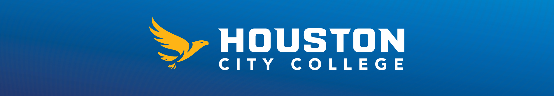 Houston City College