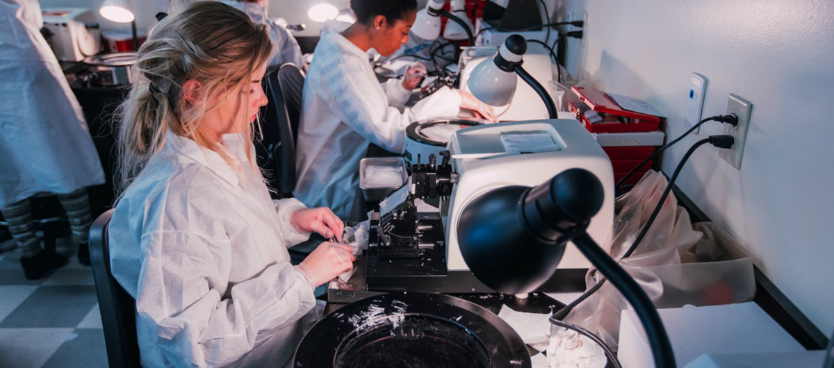 Histologic Technician students preparing tissue samples in a laboratory setting.